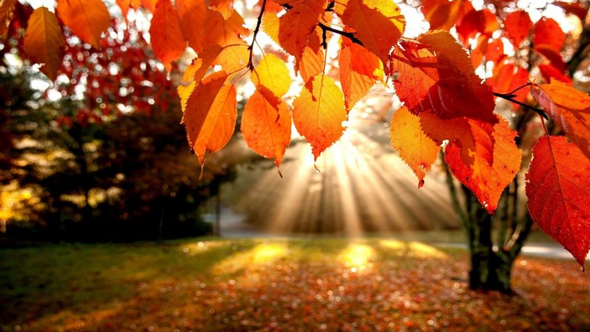 Seasonal tips to selling your home in the autumn