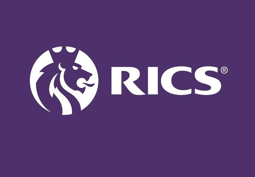 The Importance of RICS